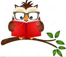 cropped reading owl